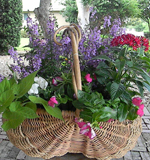 flower basket